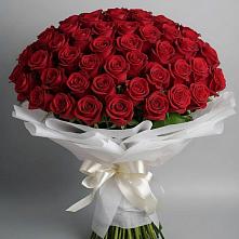 Букет 101 Красная роза Блэк Мэджик #REPLACE_PRED# Русаново