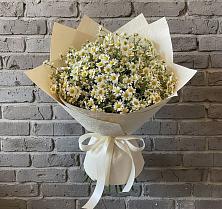Букет цветов из:  Ромашки #REPLACE_PRED# Русаново