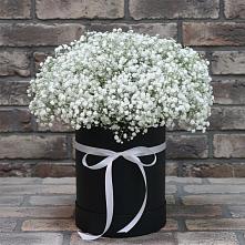 Цветочная композиция из Гипсофила в шляпной коробке #REPLACE_PRED# Русаново