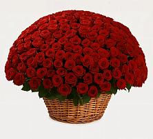 Премиум букет из: Розы в Русаново